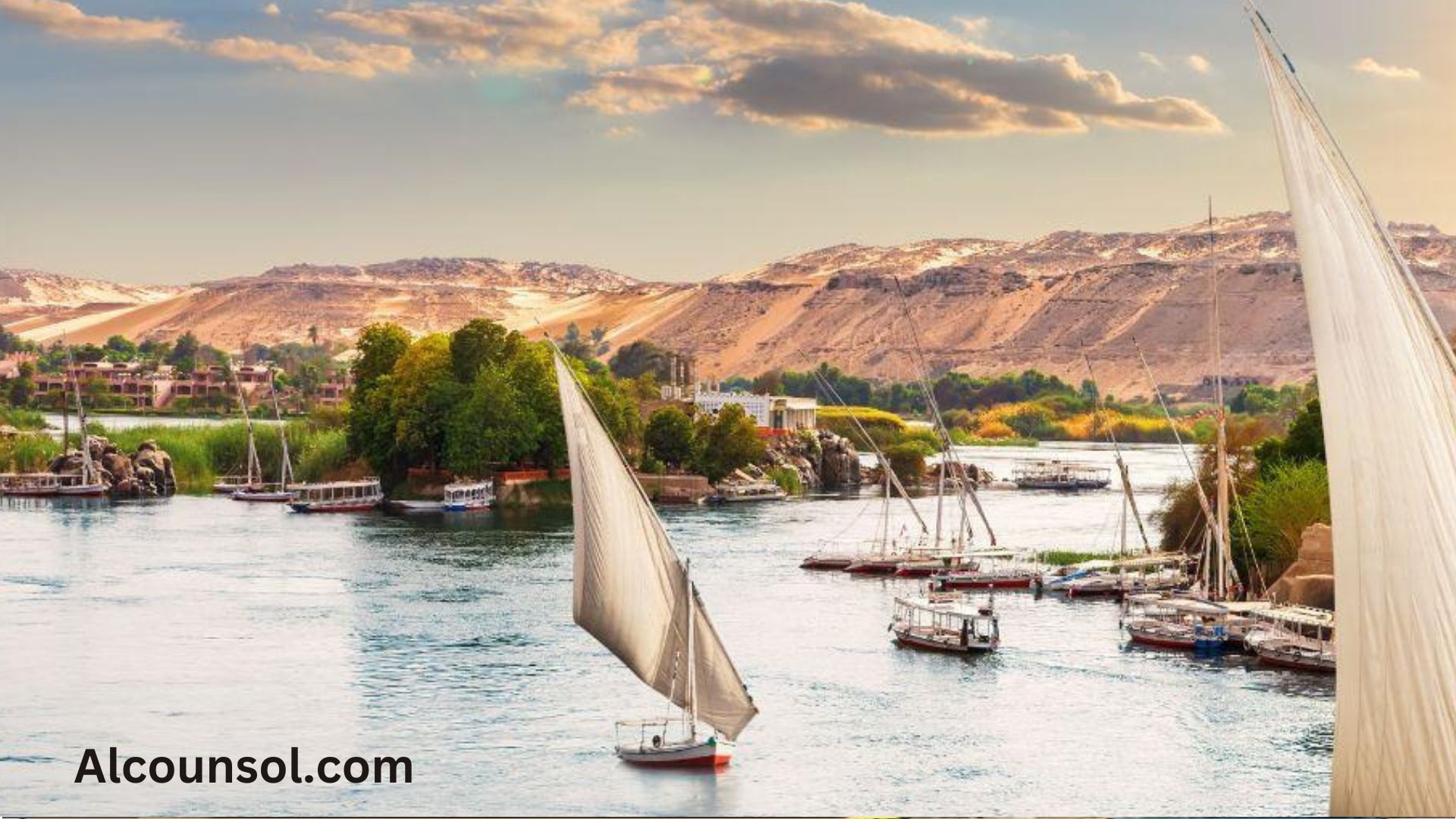 ارخص شركة نقل اثاث في المنيل